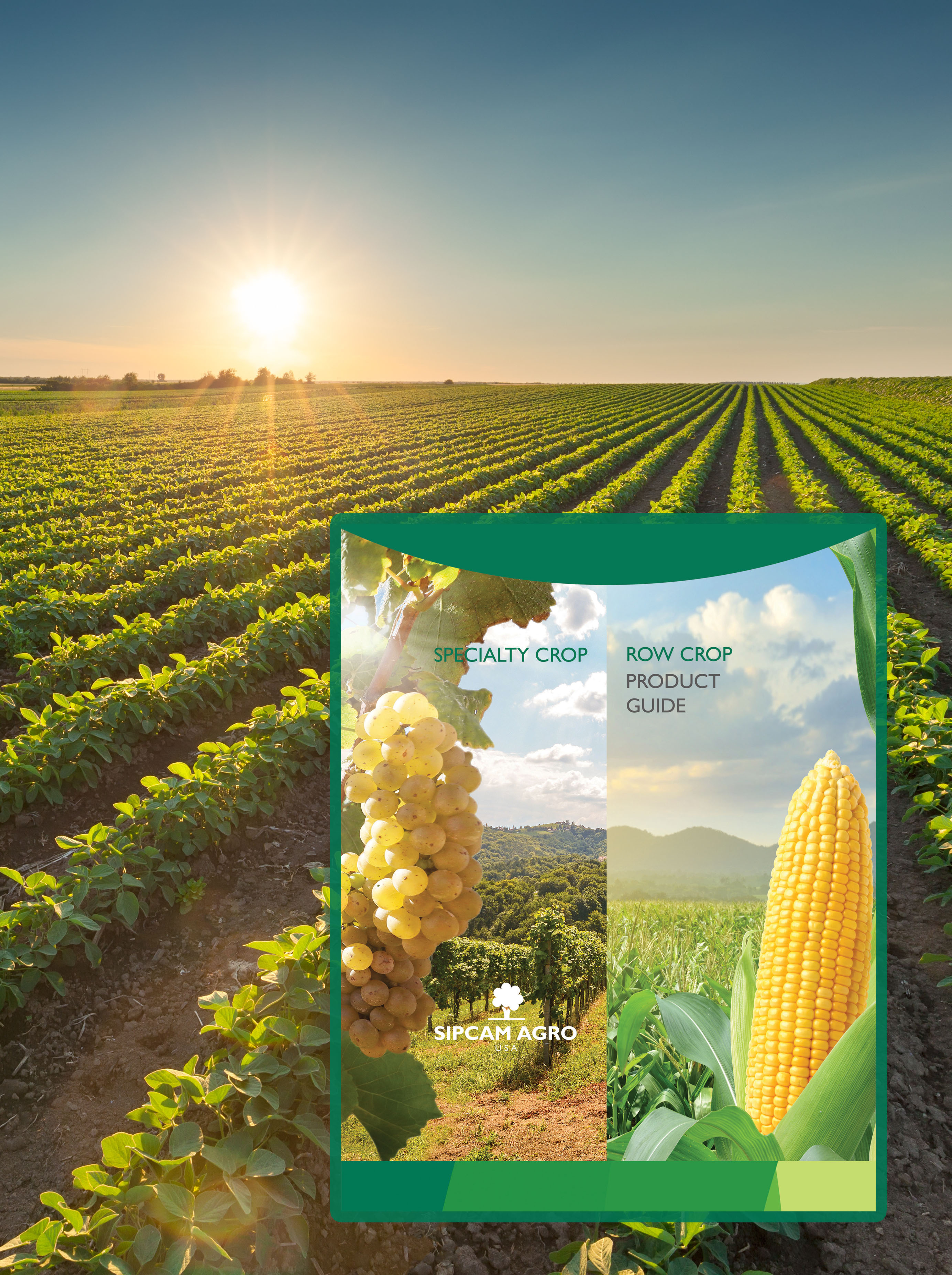 View our Row Crop and Specialty Product Guide and Turf & Ornamental Product Guide